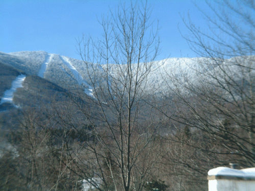Sugartree Inn Warren Bagian luar foto